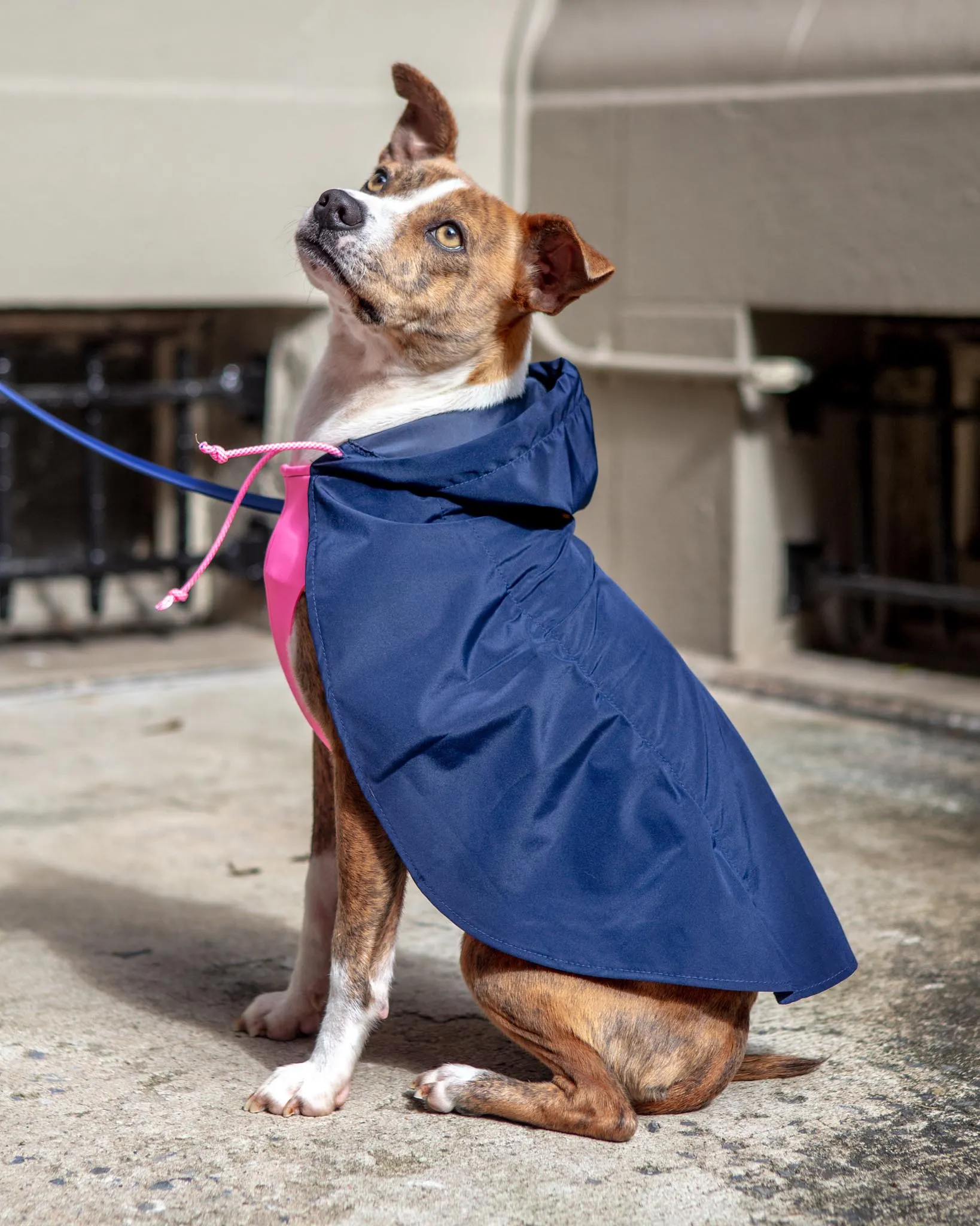 Action Jacket Pull-On Raincoat in Navy   Neon Pink (Made in NYC)