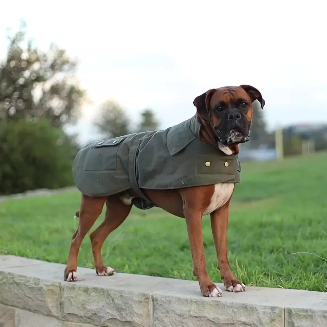 Aussie Oilskin Waterproof Dog Coat - Olive