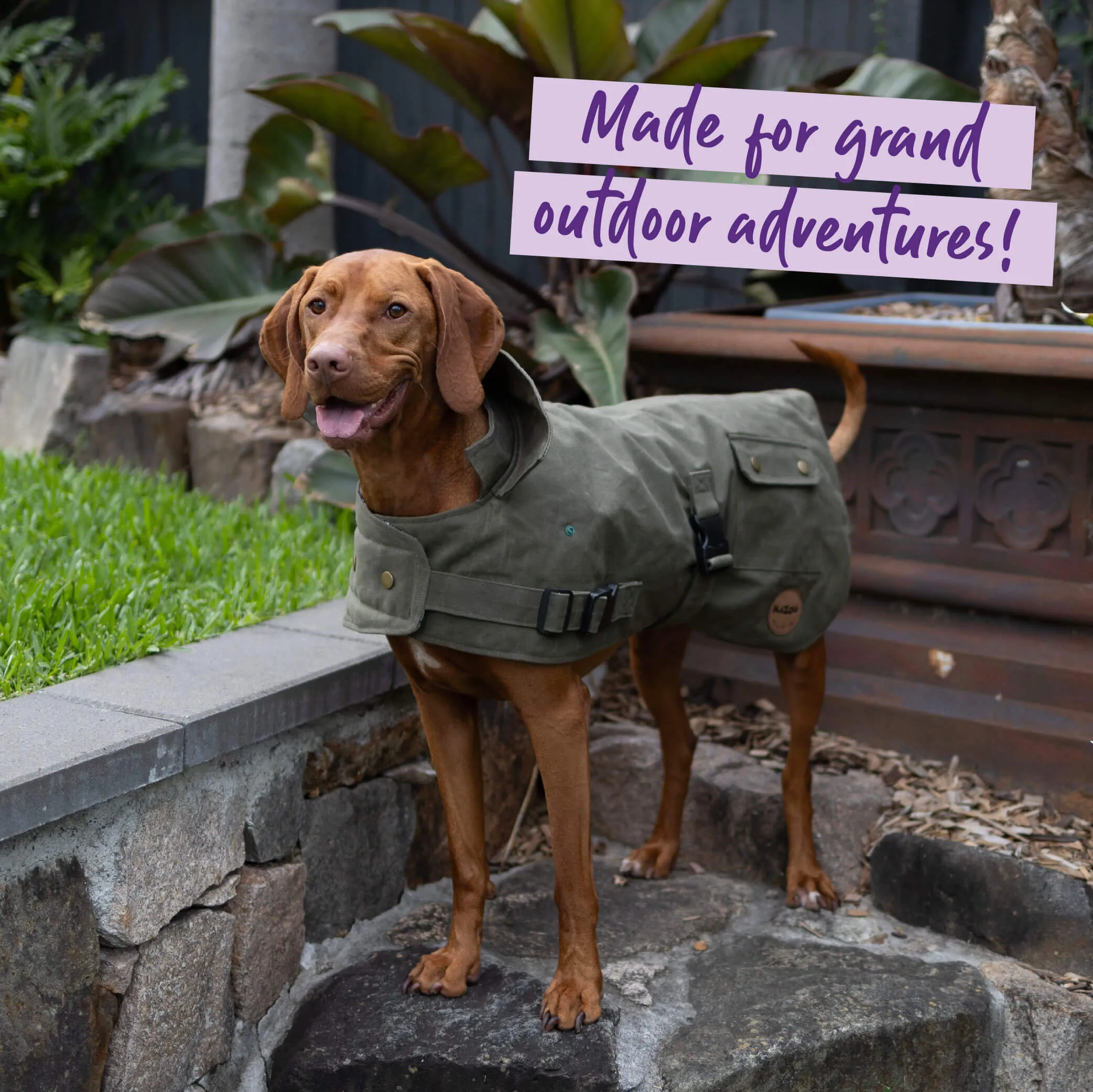 Aussie Oilskin Waterproof Dog Coat - Olive