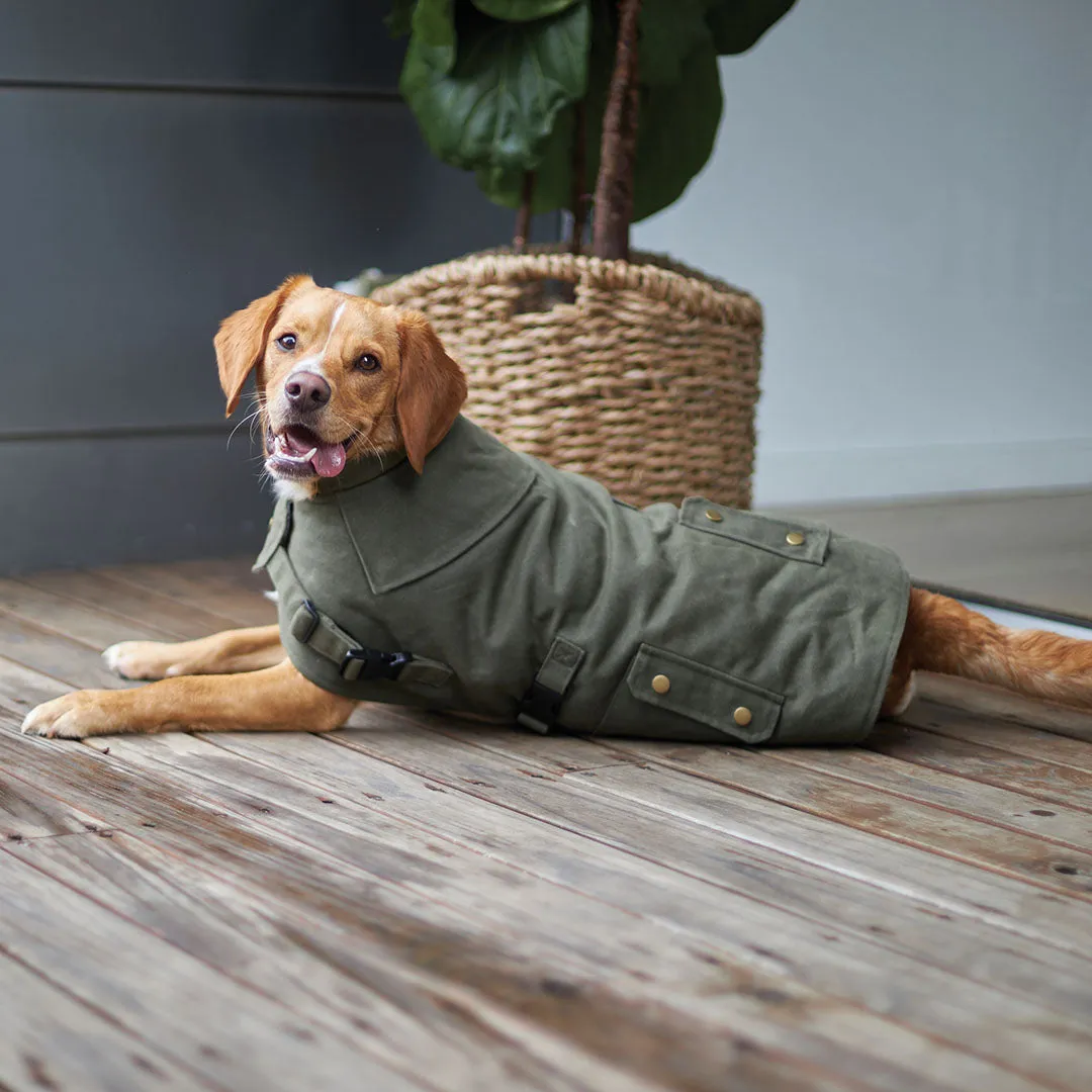 Aussie Oilskin Waterproof Dog Coat - Olive