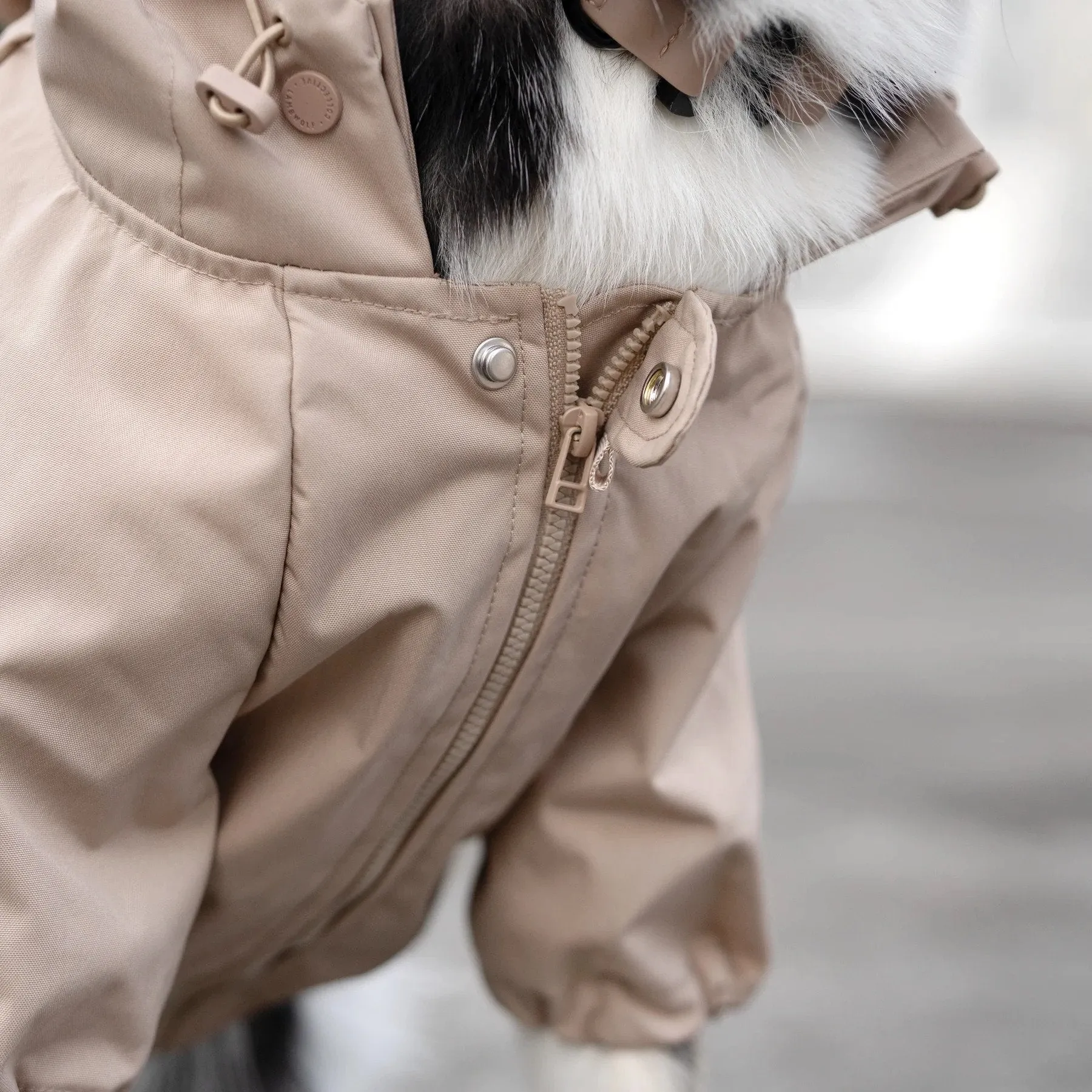 Brooklyn Dog Raincoat