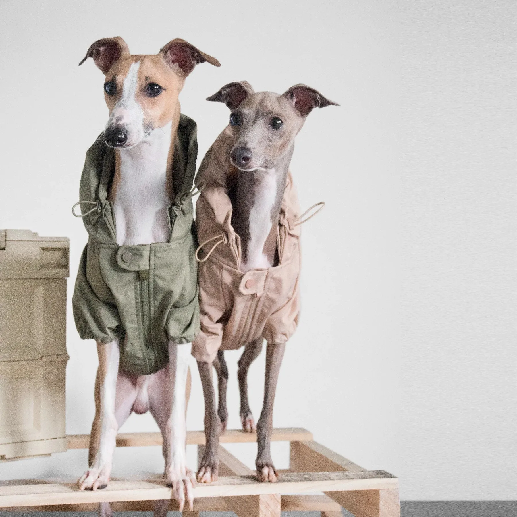 Brooklyn Dog Raincoat