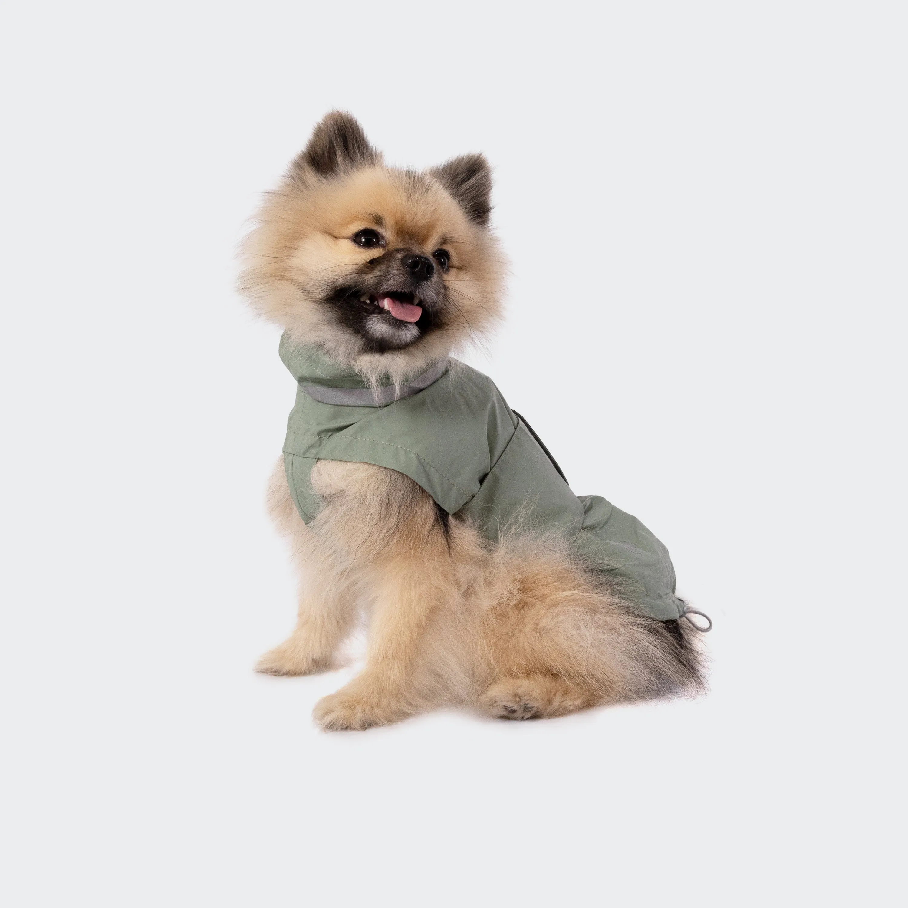 Cloud7 Hamburg Dog Rain Coat in Thyme Green