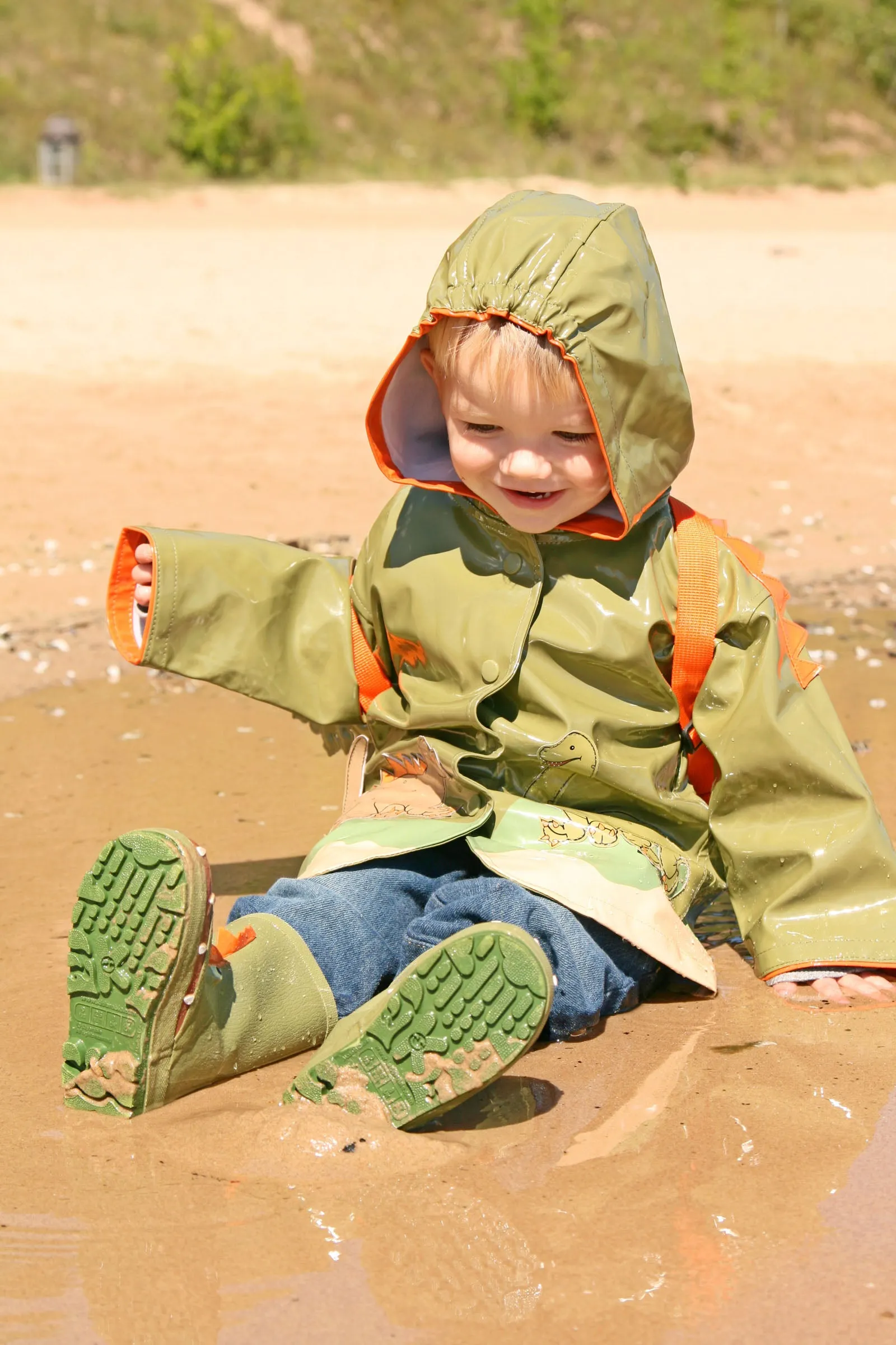 Dino Rainboots