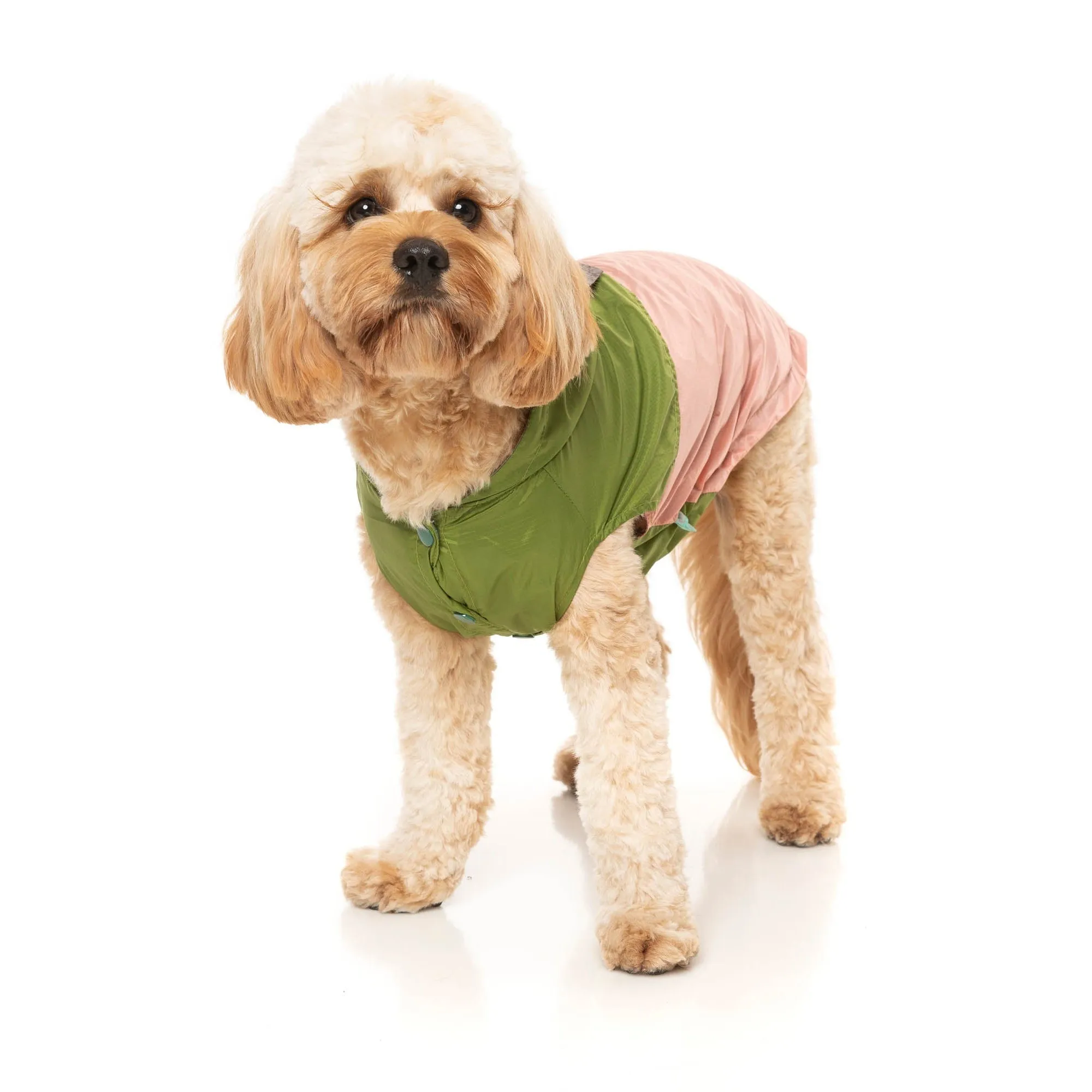 FuzzYard Dog Apparel Ormond Raincoat Olive/Pink Size 1 XXSmall***