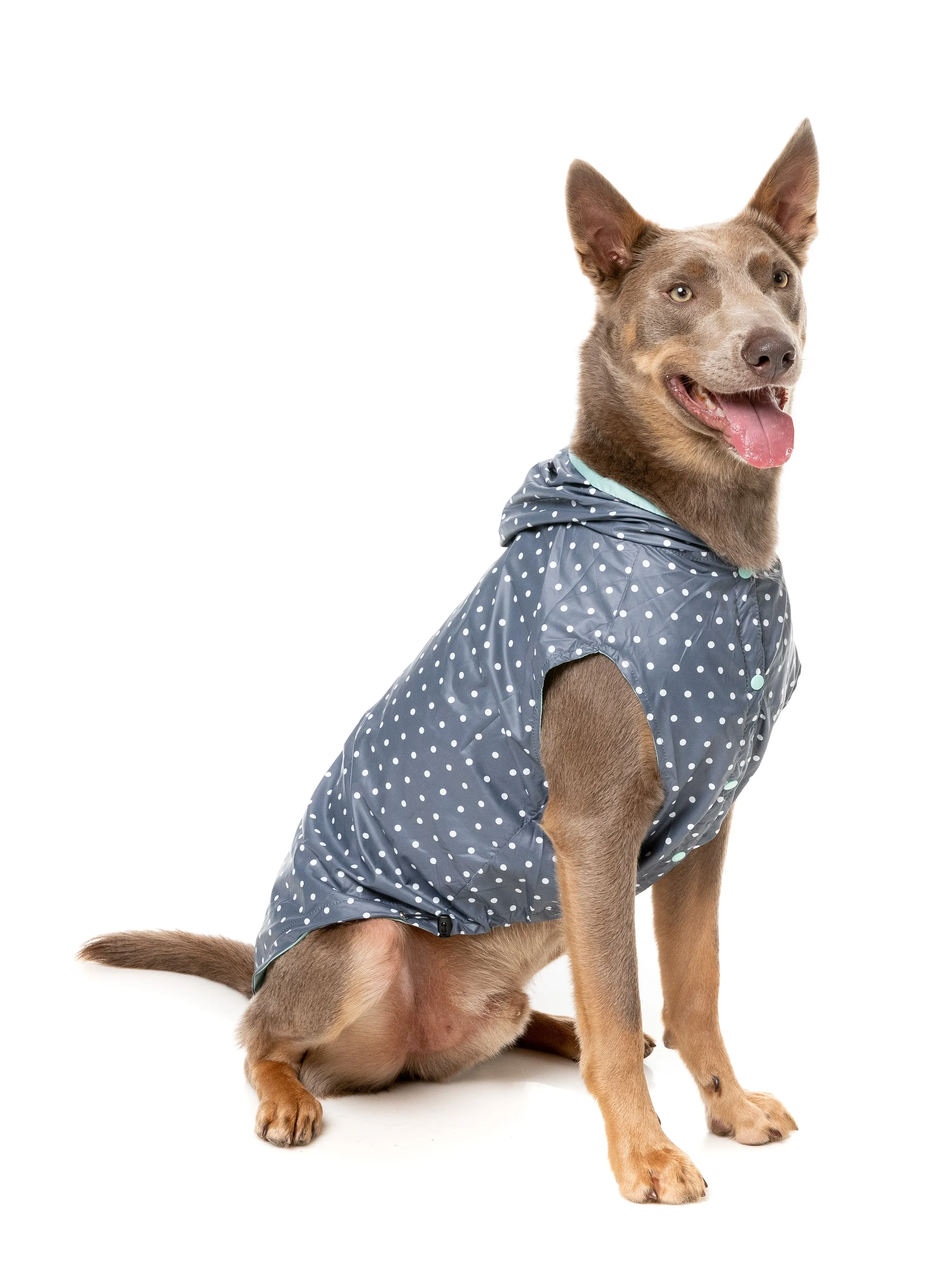 FuzzYard Flipside Dog Raincoat Mint