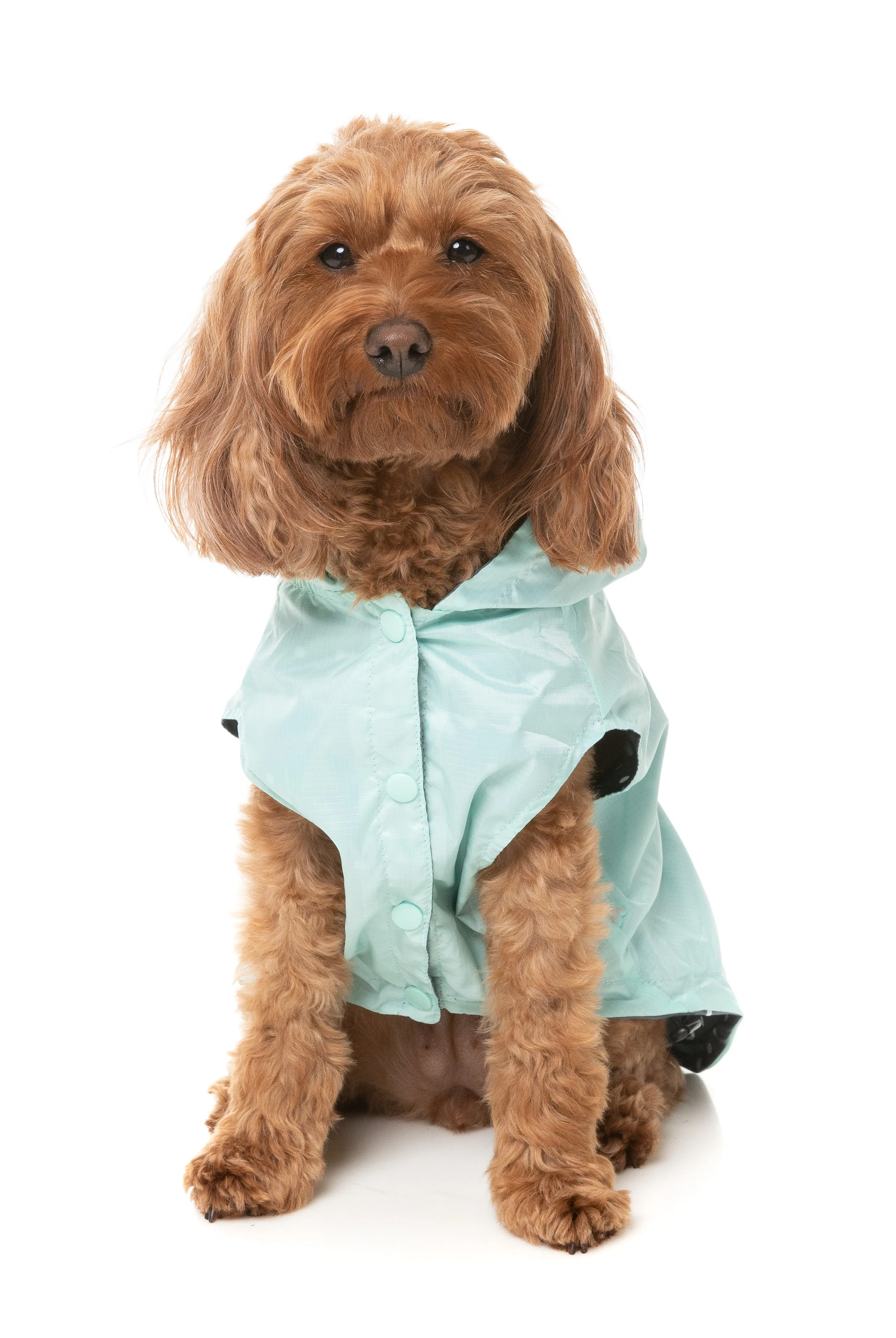 FuzzYard Flipside Dog Raincoat Mint