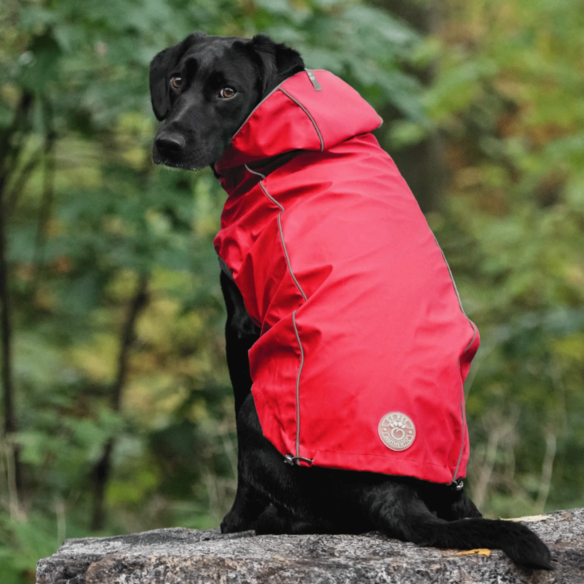 GF Pet Reversible Red Dog Rain Jacket