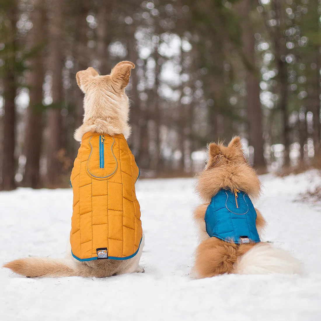 Loft Dog Jacket - Reversible - Blue Orange