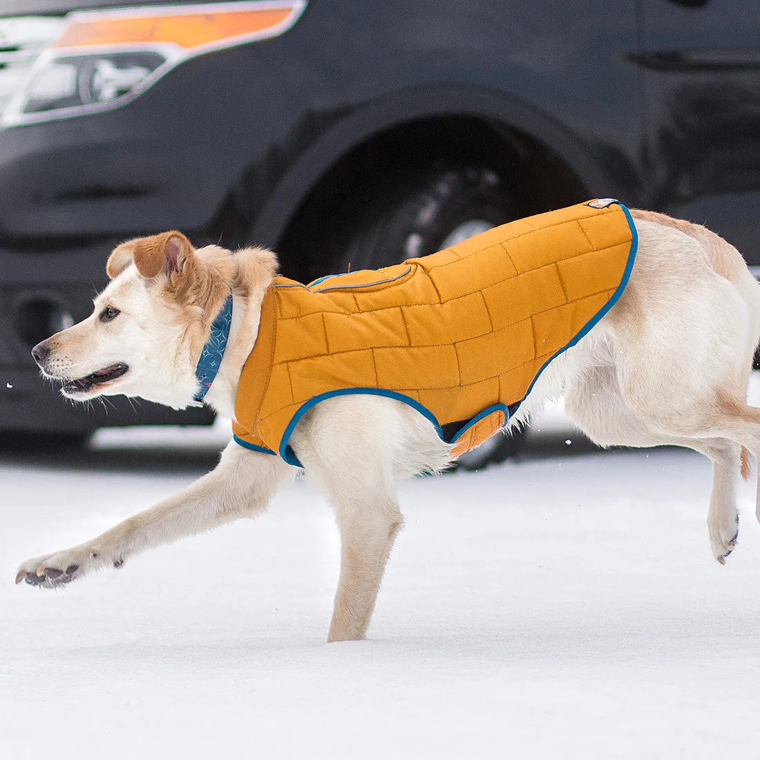 Loft Dog Jacket - Reversible - Blue Orange