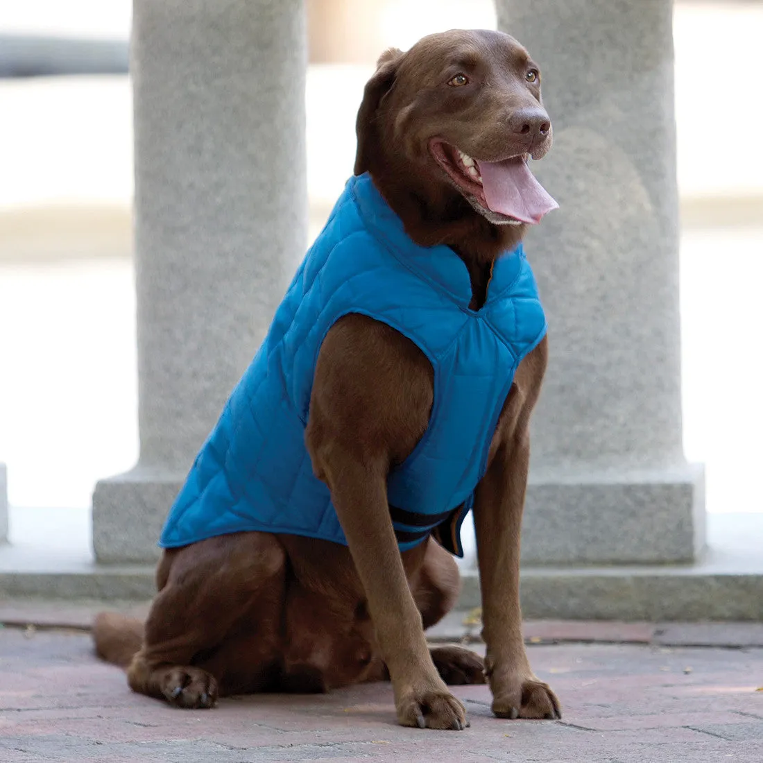 Loft Dog Jacket - Reversible - Blue Orange