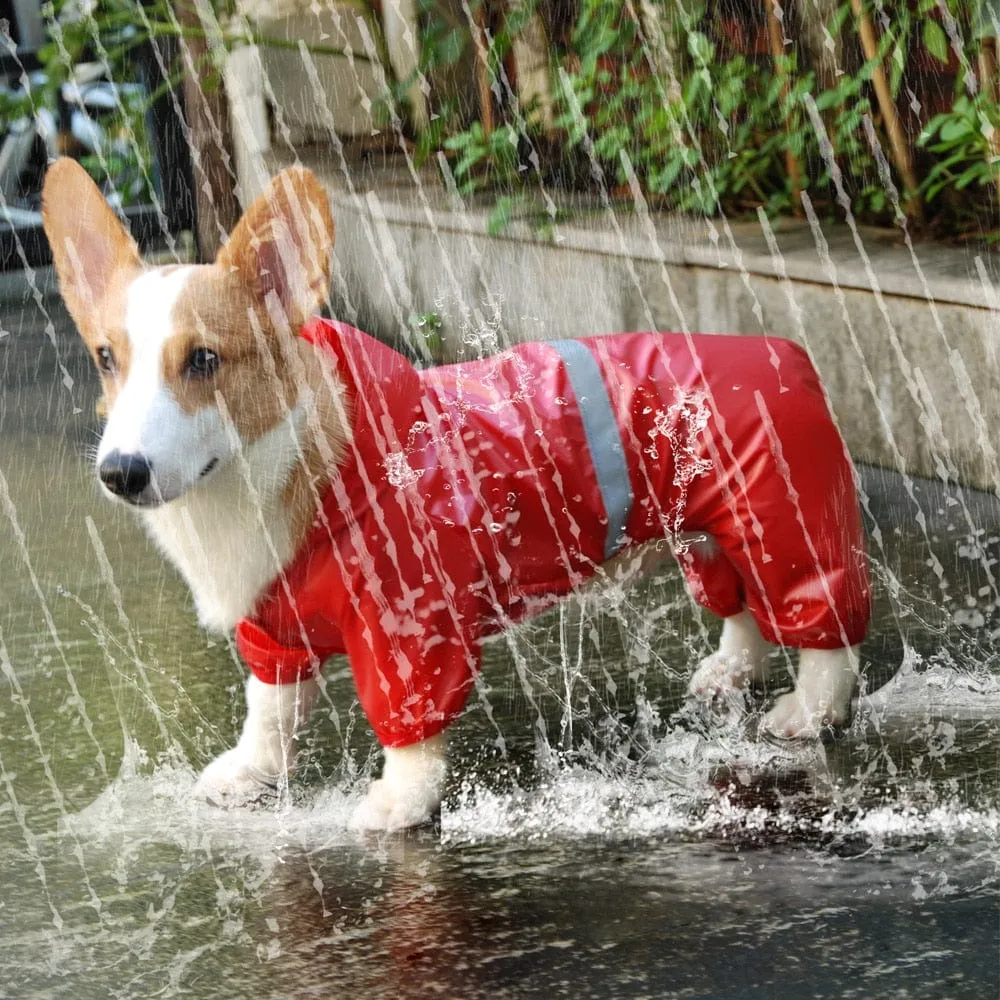 Reflective Dachshund Raincoat