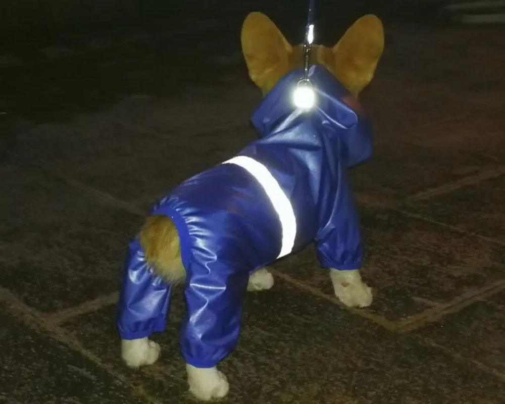 Reflective Dachshund Raincoat