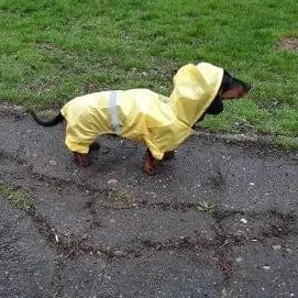 Reflective Dachshund Raincoat