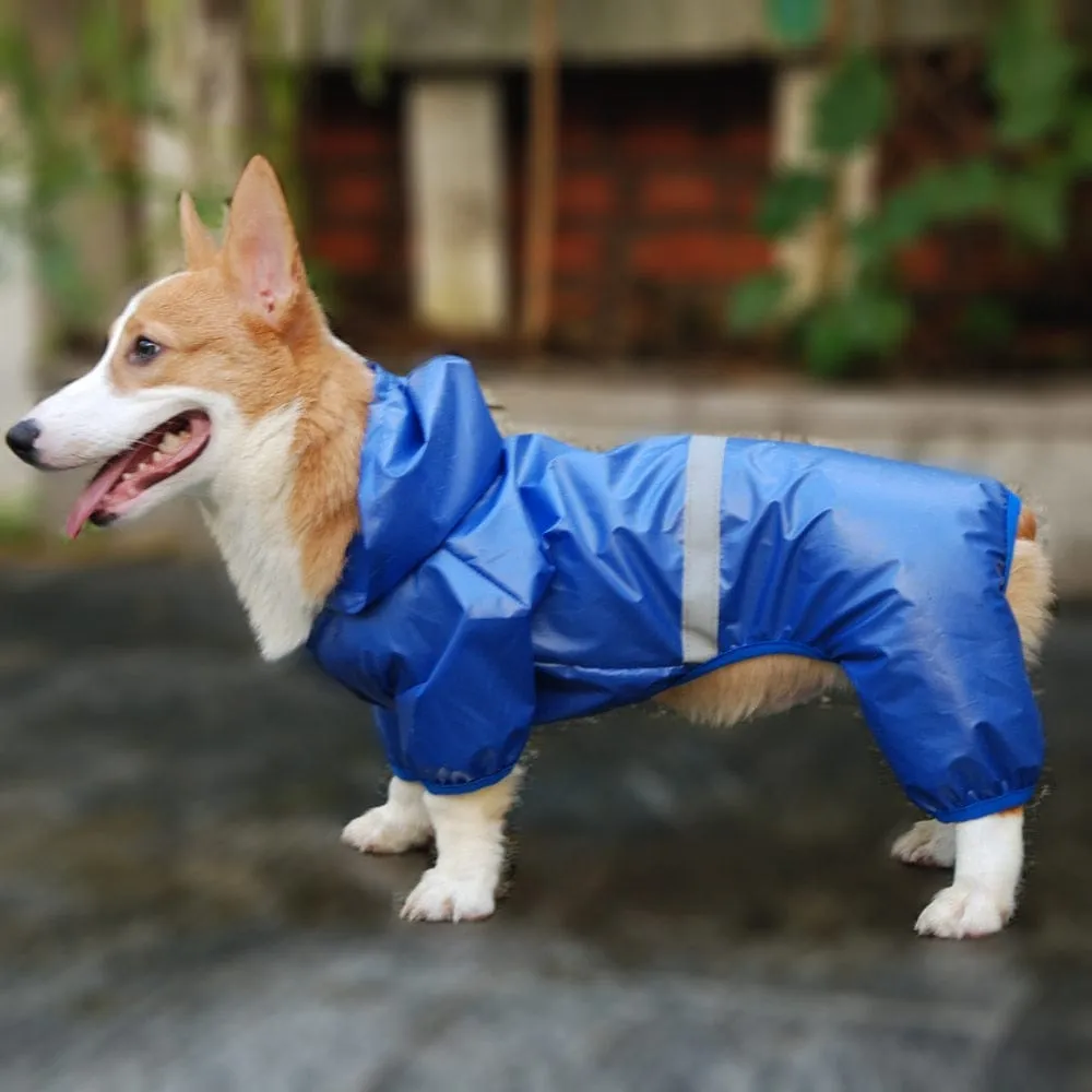 Reflective Dachshund Raincoat